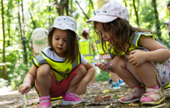 Avenor Summer School 2026: o vară „In Real Life”, plină de descoperire, joacă și experiențe memorabile