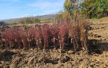 Criză de cercetători în agricultură. Tinerii fug de domeniu din cauza salariilor mici