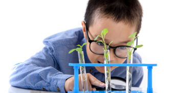 copil care studiază plant in eprubete