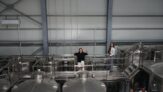Cei mai fericiți din țară? La Iași, studenții produc vin în crama universității