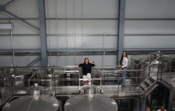 Cei mai fericiți din țară? La Iași, studenții produc vin în crama universității