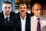 Daniel David: Dubla admitere a fost propusă încă din 2007, de comisia Miclea-Funeriu-David