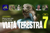 Protejarea biodiversității în România: de la pajiști și ecoducte la infrastructura unui oraș