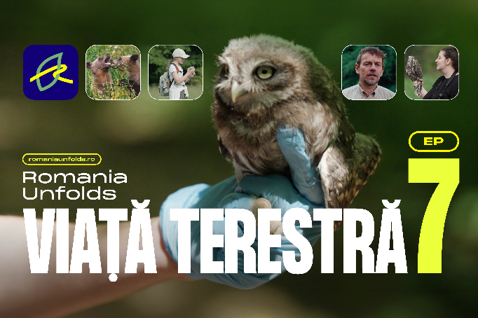 Protejarea biodiversității în România: de la pajiști și ecoducte la infrastructura unui oraș