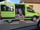 Microbuz școlar folosit pentru a transporta hrană pentru pisici