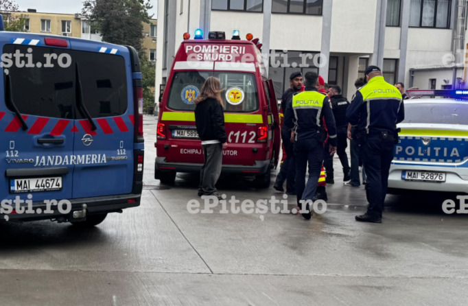 Elevul care și-a atacat colegii cu maceta ar fi acționat din răzbunare, potrivit ISJ
